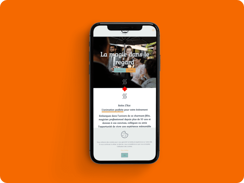 Site One-Page Robin Magicien Version Mobile